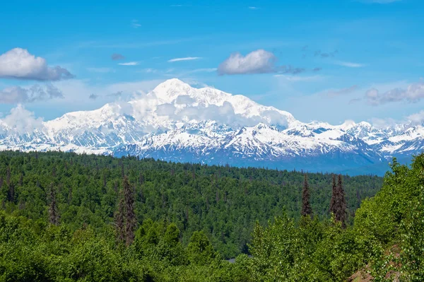 Klare Tagesdenali — Stockfoto