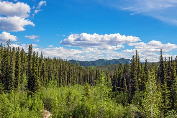 Primavera de Denali — Fotografia de Stock