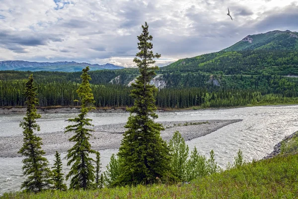 Nenana em Denali — Fotografia de Stock