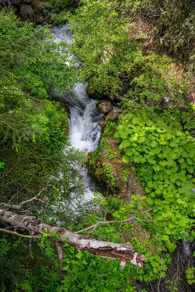 Little Stream — Stock Photo, Image