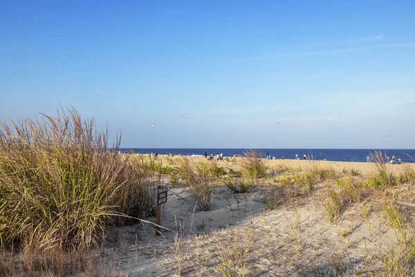 Sanddyner och strand — Stockfoto