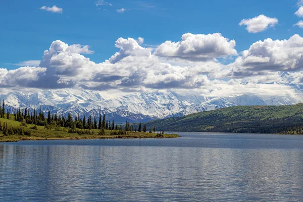 Peek of Denali — Stock Photo, Image