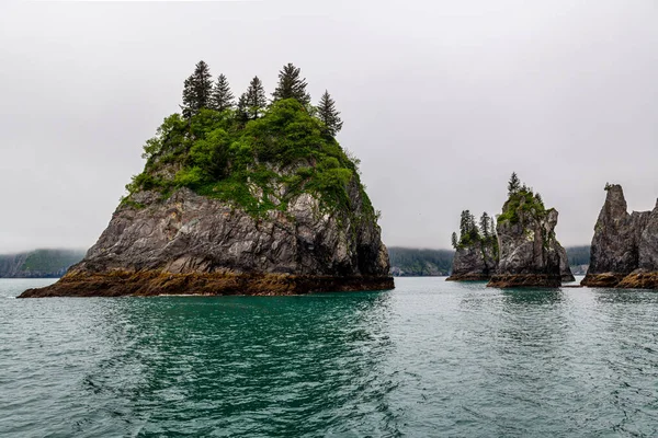 Alaska Daki Fjords Ulusal Parkı Ndaki Aialik Körfezi Nde Kaya — Stok fotoğraf