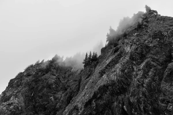 Drsná Krajina Proti Mlze Malých Ostrůvků Národním Parku Kenai Fjords — Stock fotografie