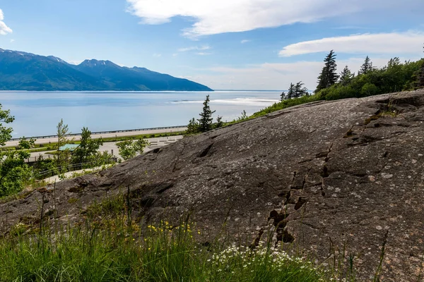 Εκτεθειμένα Θεμέλια Ενός Πάρκου Βραχίονα Turnagain Κοντά Στο Anchorage Αλάσκα — Φωτογραφία Αρχείου