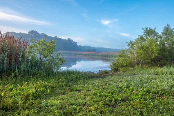 Niebla Temprano Mañana Estanque Parque Freneau Woods Condado Monmouth Nueva —  Fotos de Stock