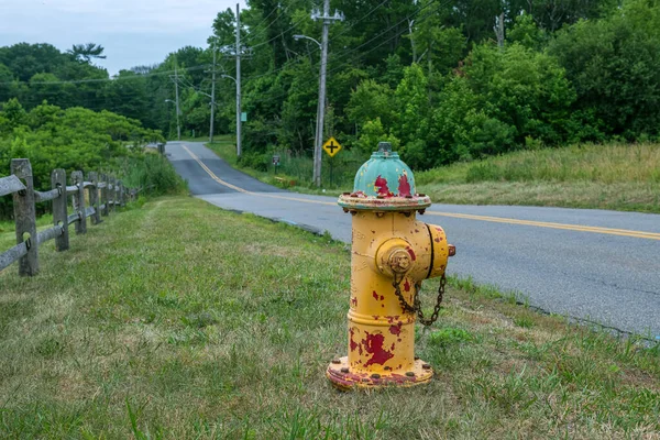 Старый Желтый Пожарный Гидрант Очищающей Краской Сельской Местности Центрального Нью — стоковое фото