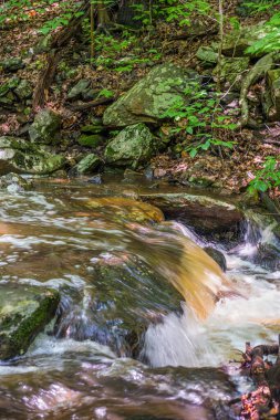Warren County New Jersey 'deki Kükreyen Kayalar Deresi' nden akan su.