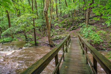 Warren County New Jersey 'de Roaring Rocks deresinin üzerinde tahta bir köprü..