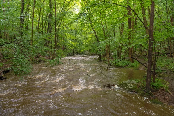 Warren County New Jersey Yaz Yağmurundan Hemen Sonra Kükreyen Kayalar — Stok fotoğraf