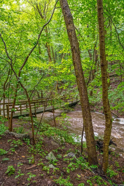 ウォーレン郡のRoaring Rocks川にかかる木製の歩道橋ニュージャージー州 — ストック写真