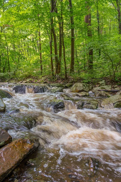 Roaring Rocks Córrego Warren County New Jersey Bom Dia Verão — Fotografia de Stock