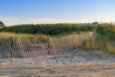 Jersey kıyısı boyunca Long Branch 'taki kum tepelerini koruyan ahşap bir çit..