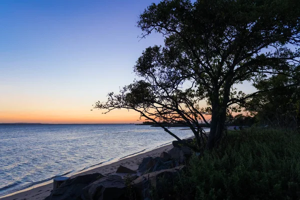 Trädsiluett Efter Solnedgången Sandy Hook Bay Längs Jersey Shore — Stockfoto