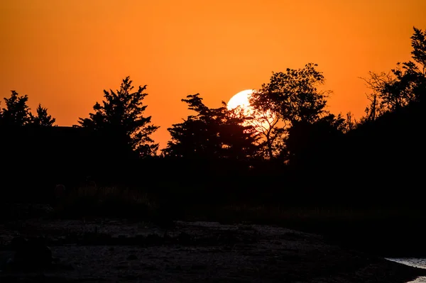 Puesta Sol Sobre Línea Árboles Sandy Hook Bay Largo Costa — Foto de Stock