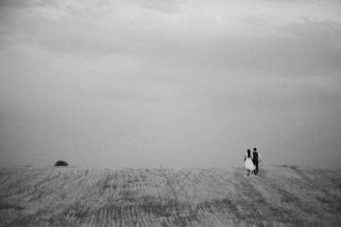 Düğün için. Gelin ve damat el ele tutuşun ve gün batımıyla tanışın. Güzel bir çift. Yüksek kalite fotoğraf