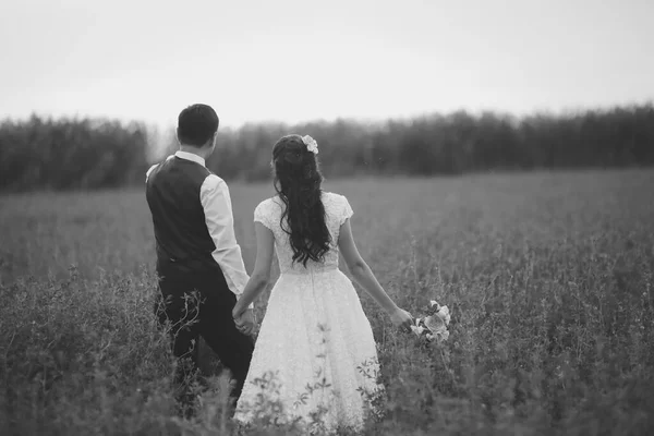 Wedding Bride Groom Hold Hands Meet Sunset Beautiful Couple High — Stock Photo, Image