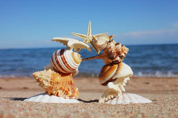 Conchas Marinas Estrellas Orilla Descansa Orilla Del Mar Océano Viajar — Foto de Stock