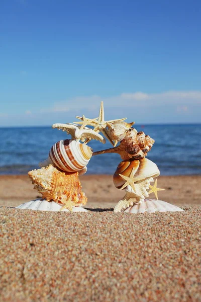 Conchas Marinas Estrellas Orilla Descansa Orilla Del Mar Océano Viajar — Foto de Stock