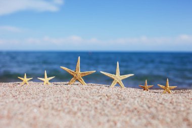 Sahilde denizyıldızı. Dalgalı kumsal. Yaz tatili kavramı. Deniz kenarında tatiller. Yüksek kalite fotoğraf