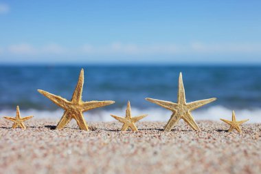 Sahilde denizyıldızı. Dalgalı kumsal. Yaz tatili kavramı. Deniz kenarında tatiller. Yüksek kalite fotoğraf