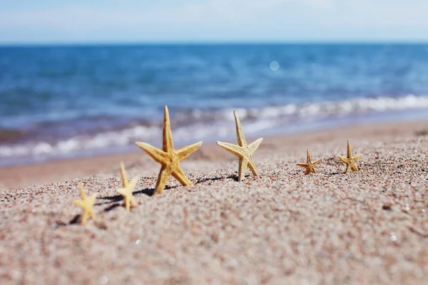 Starfish Beach Sandy Beach Waves Summer Vacation Concept Holidays Sea — Stock Photo, Image