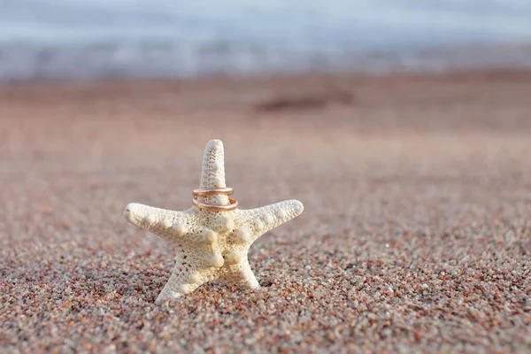 Starfish Beach Sandy Beach Waves Summer Vacation Concept Holidays Sea — Stock Photo, Image