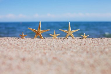 Sahilde denizyıldızı. Dalgalı kumsal. Yaz tatili kavramı. Deniz kenarında tatiller. Yüksek kalite fotoğraf