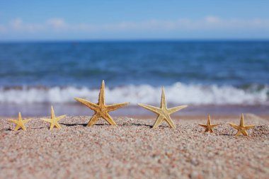 Sahilde denizyıldızı. Dalgalı kumsal. Yaz tatili kavramı. Deniz kenarında tatiller. Yüksek kalite fotoğraf