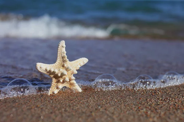 Starfish Beach Sandy Beach Waves Summer Vacation Concept Holidays Sea — Stock Photo, Image