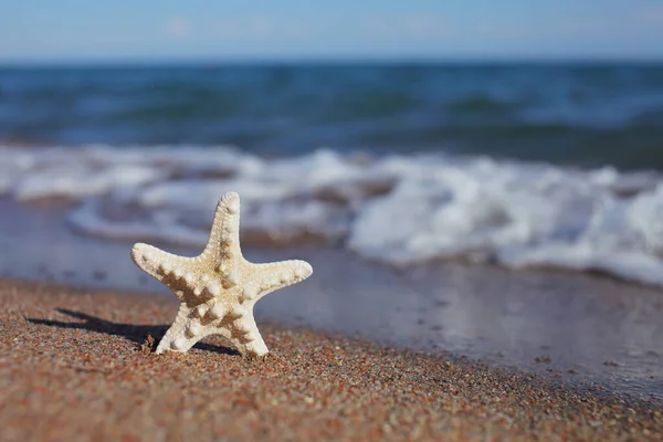 Αστρόψαρο Στην Παραλία Αμμώδης Παραλία Κύματα Καλοκαιρινές Διακοπές Διακοπές Δίπλα — Φωτογραφία Αρχείου