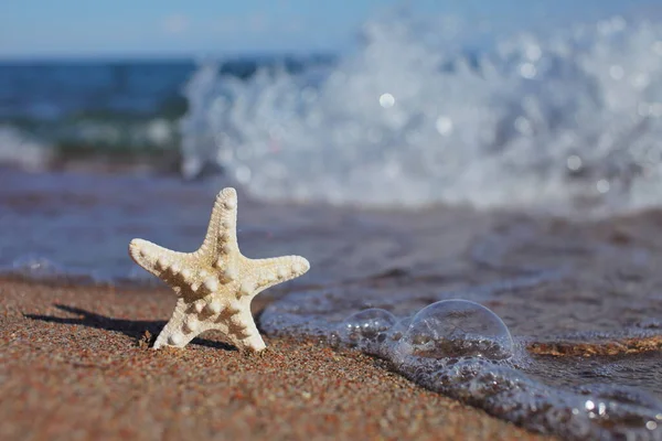 Starfish Beach Sandy Beach Waves Summer Vacation Concept Holidays Sea — Stock Photo, Image