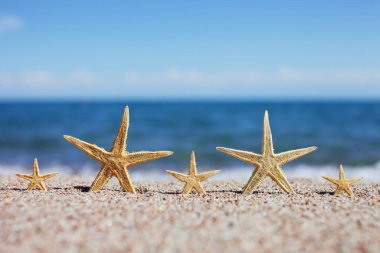 Sahilde denizyıldızı. Dalgalı kumsal. Yaz tatili kavramı. Deniz kenarında tatiller. Yüksek kalite fotoğraf