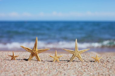 Sahilde denizyıldızı. Dalgalı kumsal. Yaz tatili kavramı. Deniz kenarında tatiller. Yüksek kalite fotoğraf