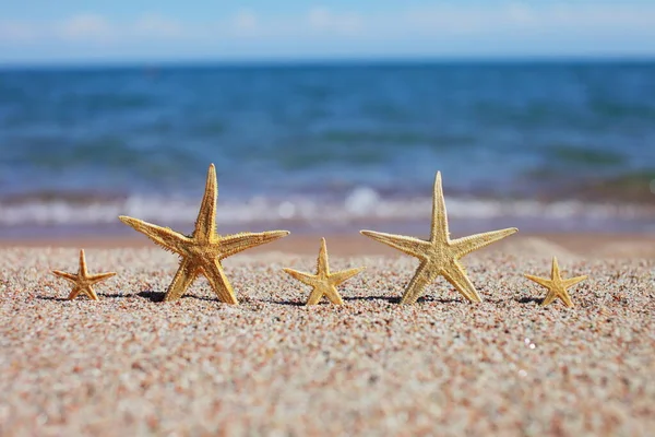 Hvězdice Pláži Písečná Pláž Vlnami Koncept Letních Prázdnin Dovolená Moře — Stock fotografie