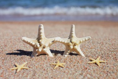 Sahilde denizyıldızı. Dalgalı kumsal. Yaz tatili kavramı. Deniz kenarında tatiller. Yüksek kalite fotoğraf