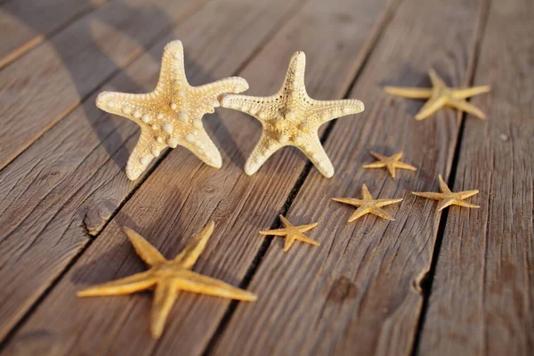 Starfish Wooden Pier Poured Wooden Deck Summer Vacation Concept Holidays — Stock Photo, Image