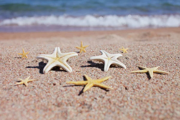 Stelle Marine Sulla Spiaggia Spiaggia Sabbiosa Con Onde Concetto Vacanza — Foto Stock