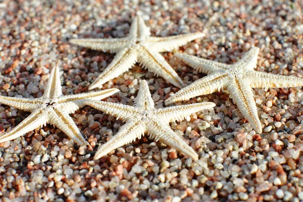 ビーチでヒトデ 波がある砂浜 夏休みのコンセプト 海での休日 高品質の写真 — ストック写真
