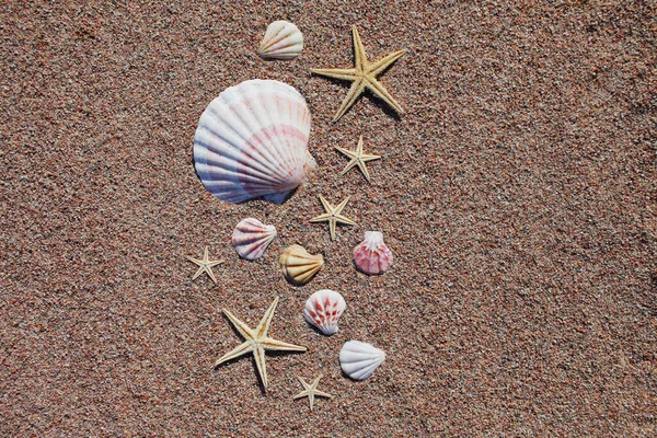 Conchas Mar Estrelas Mar Praia Praia Areia Com Ondas Conceito — Fotografia de Stock