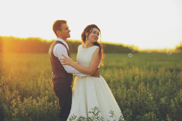 Gli Sposi Felici Abbracciano Nel Parco Tramonto Matrimonio Felice Concetto — Foto Stock