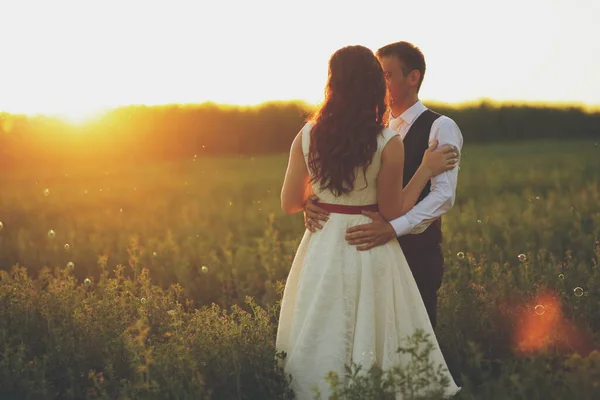 Gli Sposi Felici Abbracciano Nel Parco Tramonto Matrimonio Felice Concetto — Foto Stock