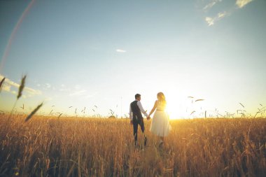 Gelin ve damat el ele tutuşur, birbirlerine sarılırlar ve parkta yürürler. Gün batımı ışığı. Düğün. Mutlu aşk konsepti. Yüksek kalite fotoğraf