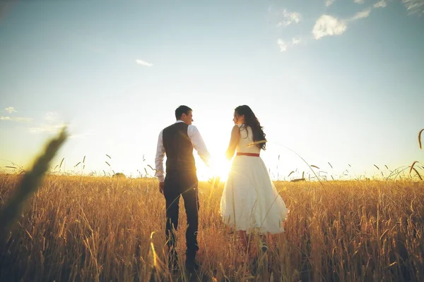 Mireasa Mirele Țin Mână Îmbrățișează Merg Parc Apus Soare Nunta — Fotografie, imagine de stoc