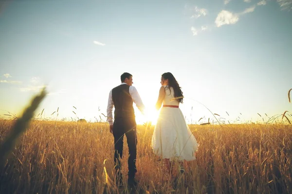 Bride Groom Hold Hands Hug Each Other Walk Park Sunset — Stock Photo, Image