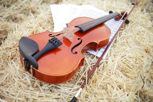 One violin and bow placed on a pile of straw in the field. Music Violin training. Fiddlestick, performing. Concept, baroque. Musical, fiddle.