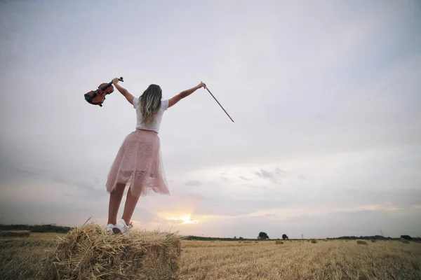 Jovem Romântica Com Cabelo Fluindo Segurando Violino Sua Mão Campo Fotografias De Stock Royalty-Free