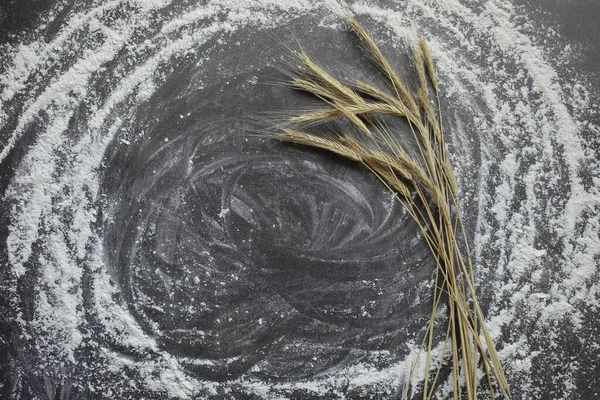 Ears of wheat and flour on a gray background. Top view, grain. — Stock Photo, Image