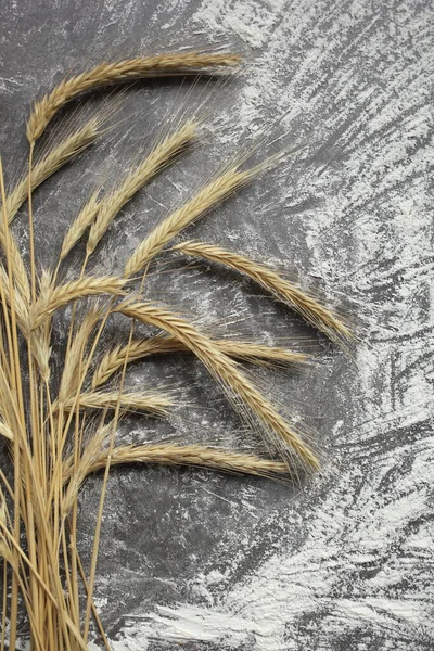Öron av vete och mjöl på en grå bakgrund. Ovanifrån, spannmål. — Stockfoto
