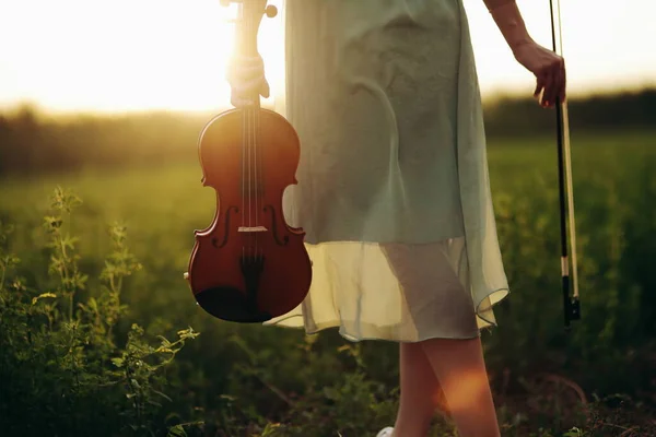 Violino Nas Mãos Uma Jovem Violinista Pôr Sol Conceito Treinamento — Fotografia de Stock